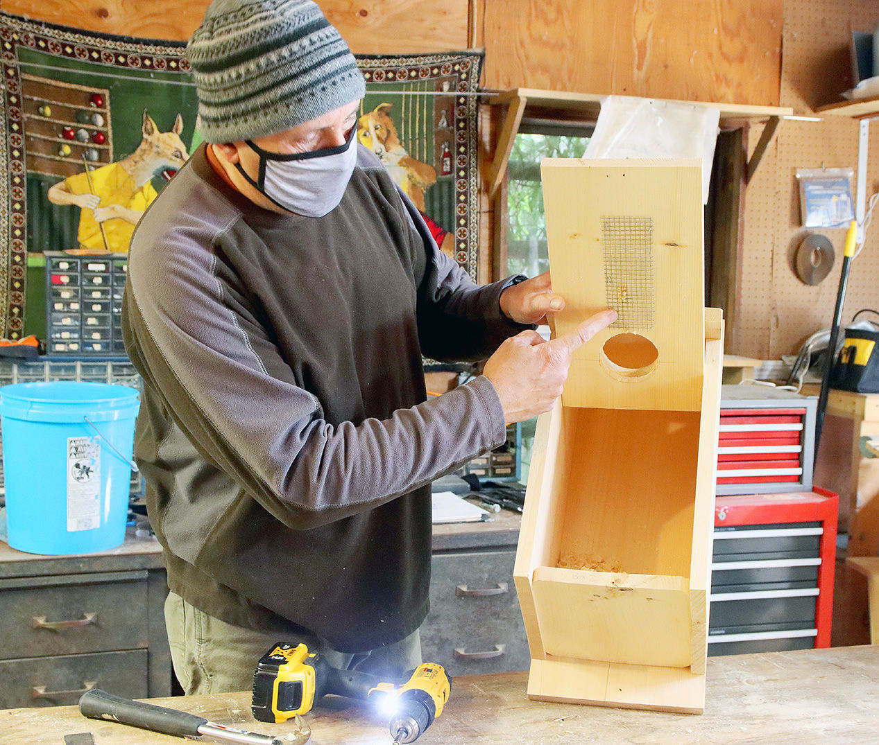 Owl Nesting Box Project Takes Hold With Bird Lovers